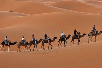 Camel Ride in Rajasthan Tour